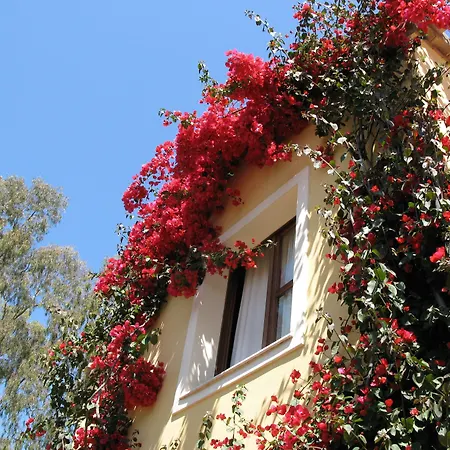 Borgo Degli Ulivi Apart Otel