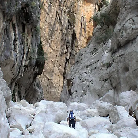 Borgo Degli Ulivi 3* Àrbatax