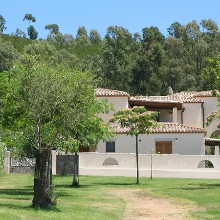 橄榄之乡公寓式酒店