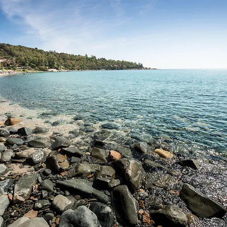 公寓式酒店 橄榄之乡公寓式酒店