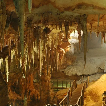 橄榄之乡公寓式酒店 公寓式酒店 阿尔巴塔克斯